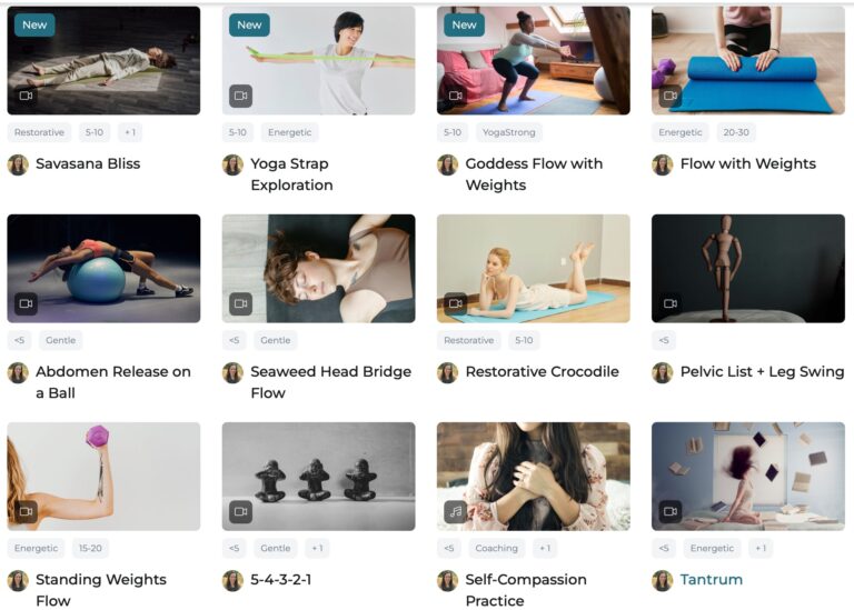 Embodied Resilience membership example tools